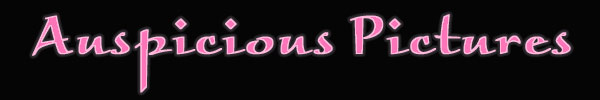 Auspicious Pictures